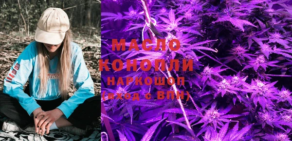 дживик Бронницы