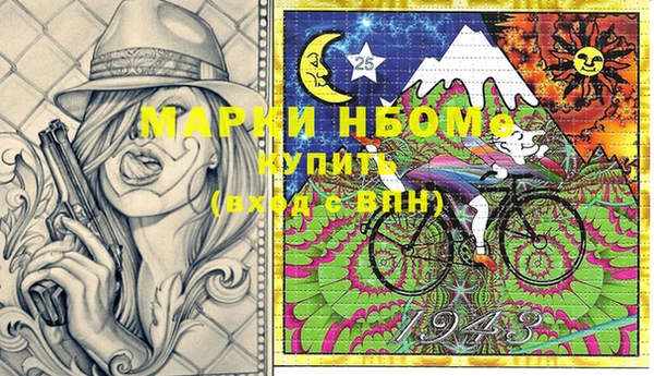 дживик Бронницы
