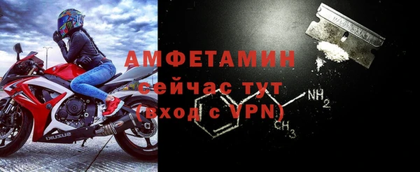 дживик Бронницы