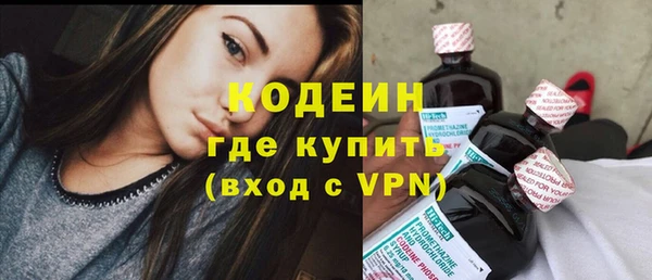 дживик Бронницы