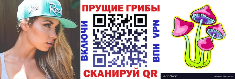 Псилоцибиновые грибы мицелий  Кораблино 